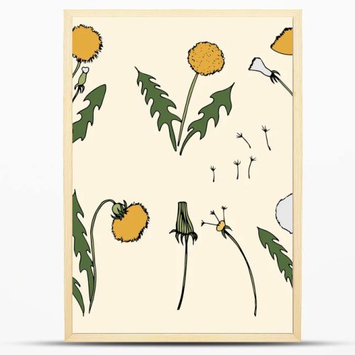 Dandelion vector illustration on yellow