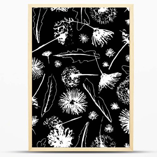 Vector black and white floral dandelions blowballs and daisies seamless pattern background