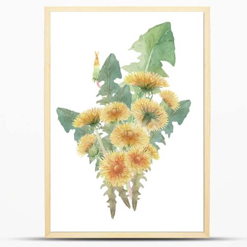 bouquet of watercolor dandelions