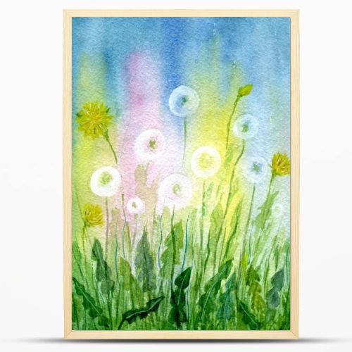 Field of dandelions