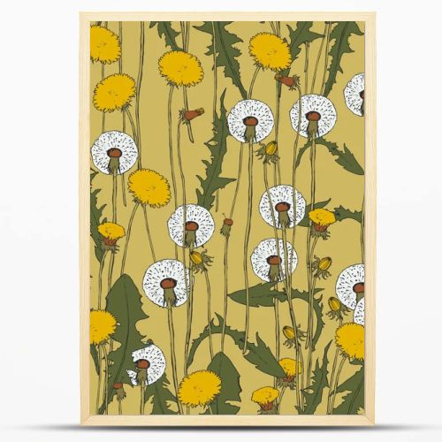 Dandelion botanical isolated illustration