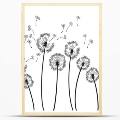 Dandelion wind blow background. Black silhouette with flying dandelion buds on white. Abstract flying seeds. Decorative graphics for printing. Floral scene design.