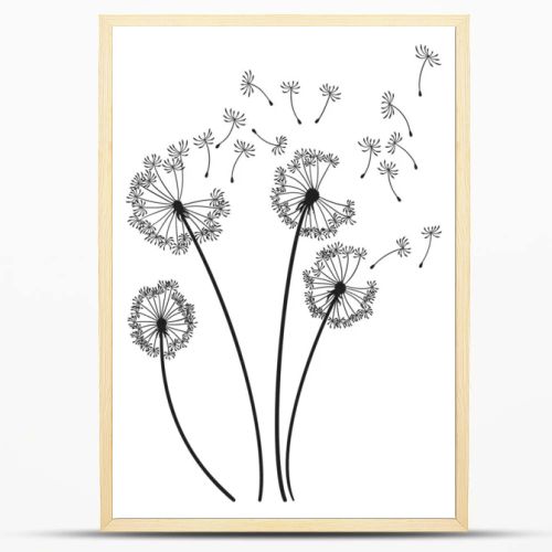 Dandelion wind blow background. Black silhouette with flying dandelion buds on white. Abstract flying seeds. Decorative graphics for printing. Floral scene design.