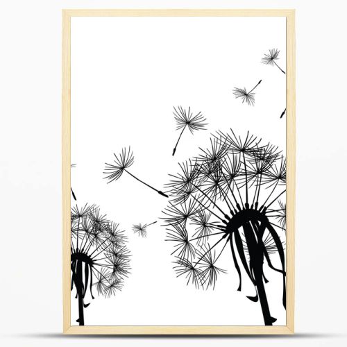 Black dandelion in the wind