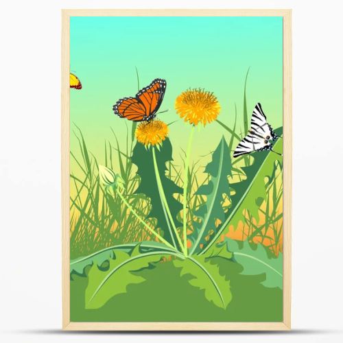 Three butterflies flying in a field