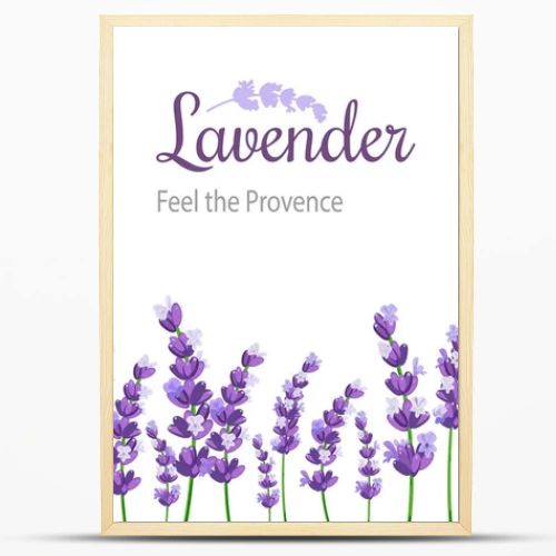 Lavender Card with flowers. Vintage Label with provence violet lavender.