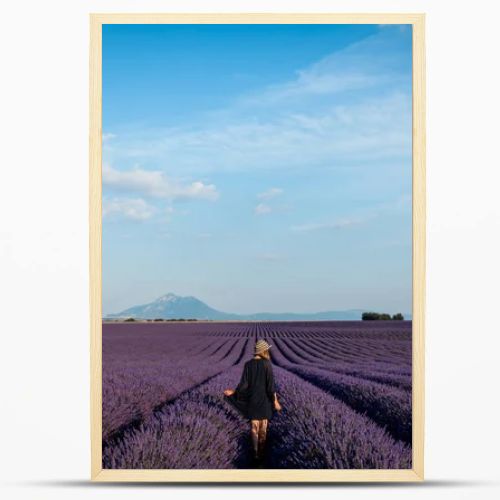 back view of girl walking on picturesque lavender field in provence, france