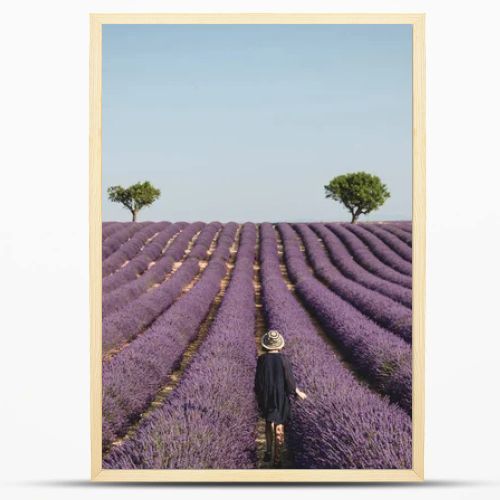 back view of young woman looking at picturesque lavender field in provence, france