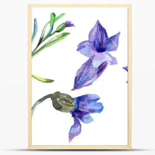 Purple lavender flowers. Wild spring wildflowers isolated on white. Hand drawn lavender flowers in aquarelle. Watercolor background illustration.