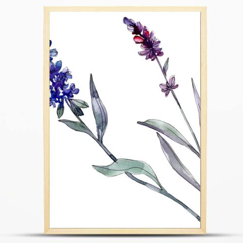 Lavender floral botanical flowers. Wild spring leaf wildflower isolated. Watercolor background illustration set. Watercolour drawing fashion aquarelle isolated. Isolated lavender illustration element.