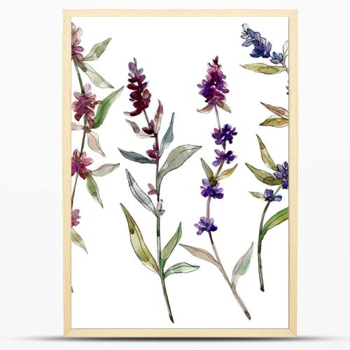 Purple lavender floral botanical flowers. Wild spring leaf wildflower isolated. Watercolor background illustration set. Watercolour drawing fashion aquarelle. Isolated lavender illustration element.