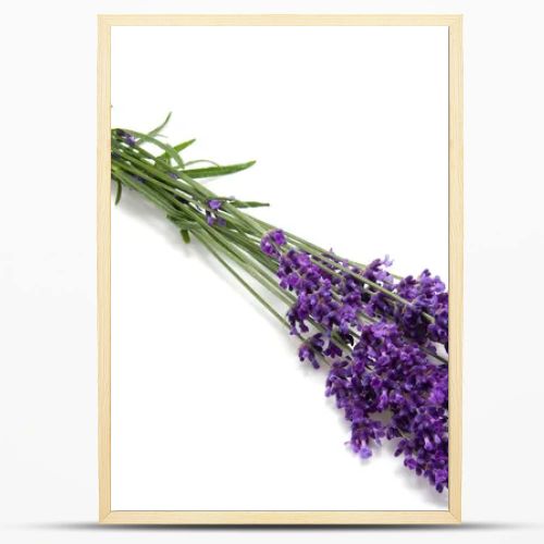 Plucked lavender