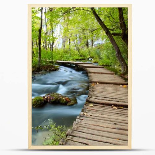 Boardwalk in the park