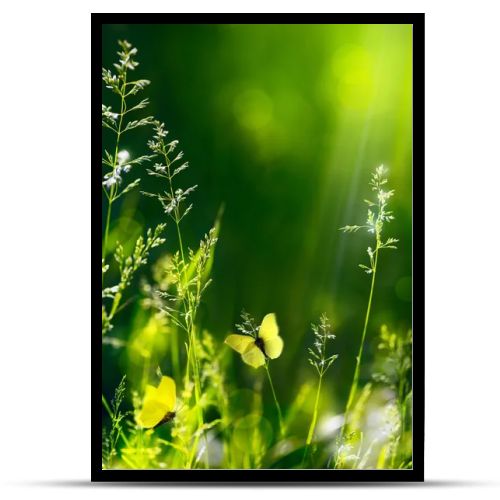 Abstract summer floral green nature background