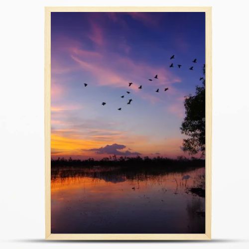 Landscape at sunset.