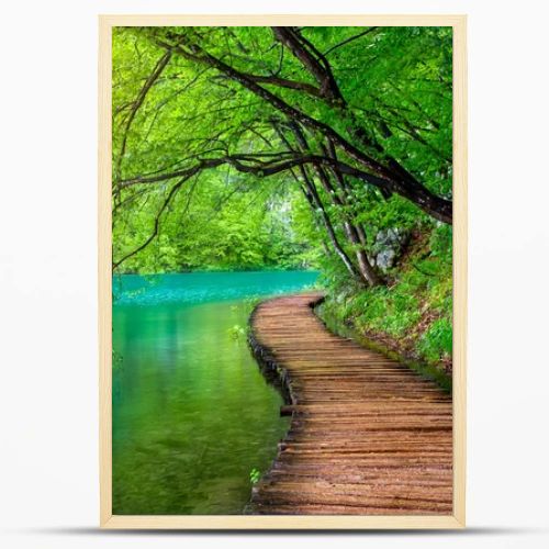 Deep forest stream with crystal clear water in the sunshine. Plitvice lakes, Croatia