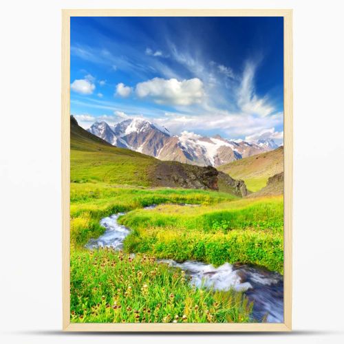 River in mountain valley with bright meadow. Natural summer landscape