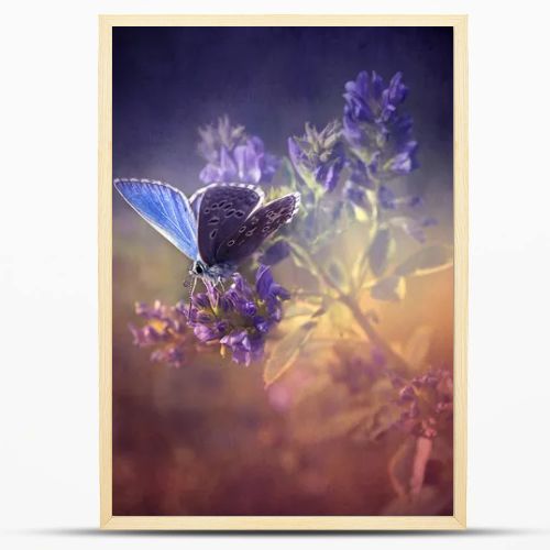Vintage butterfly.
