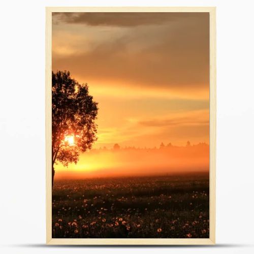 The sheaf of hay at dawn, Novgorod region ,Russia