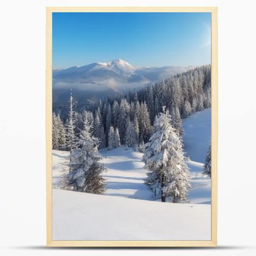 Winter day in the mountains