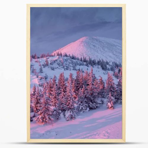 Winter mountain at sunrise
