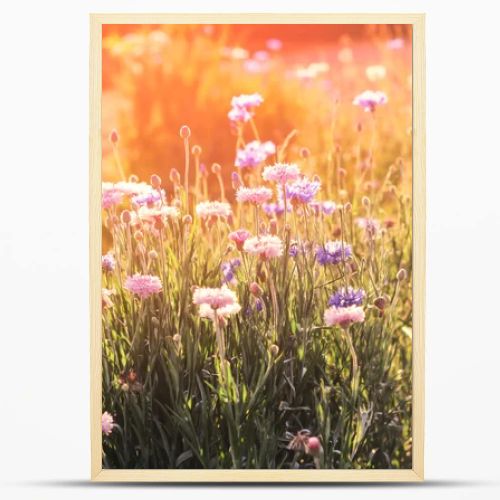 Beautiful flowers with sun lighting scene