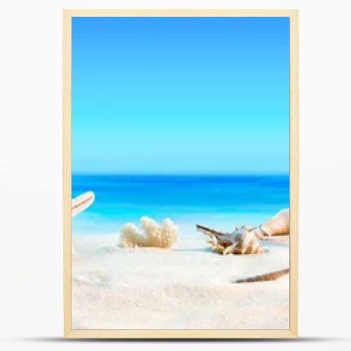 Landscape with seashells on tropical beach - summer holiday