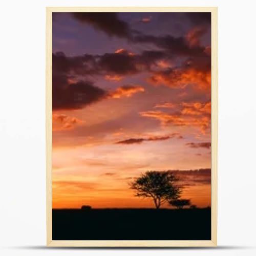 Orange cloudy sky