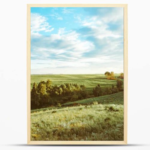 Green Grass Field Landscape with fantastic clouds in the background