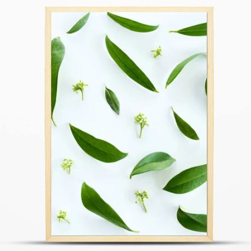 Green leaves background 