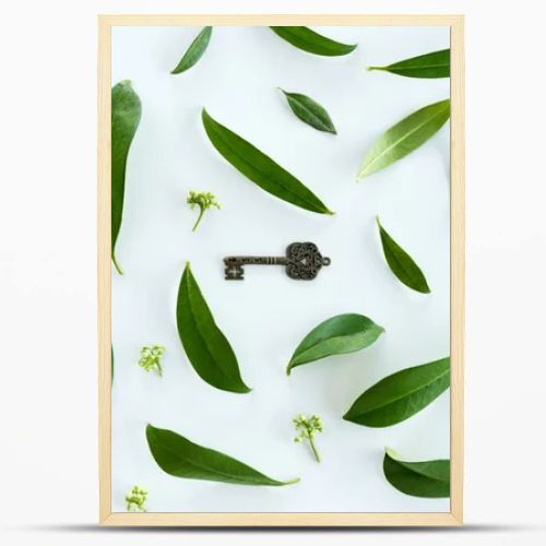 Green leaves and old key