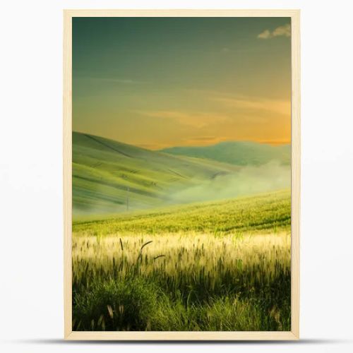 Beautiful nature countryside landscape  spring flowering field over sunrise sky