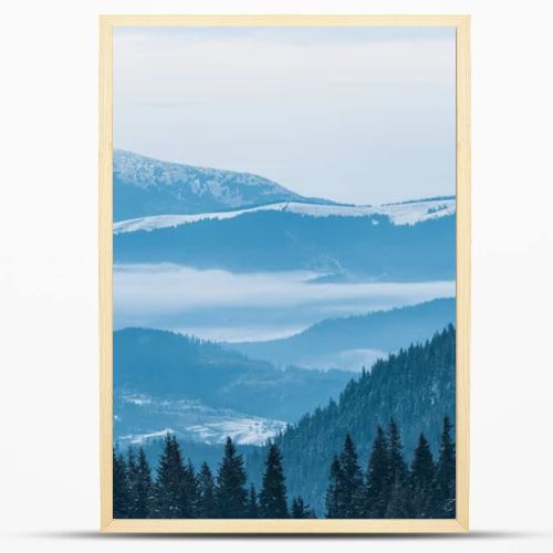 scenic view of snowy mountains with pine trees and cloudy sky