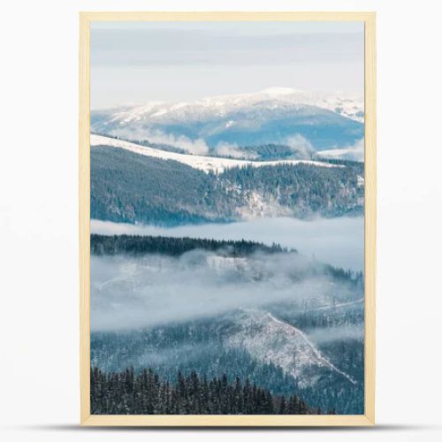 scenic view of snowy mountains with pine trees in white fluffy clouds