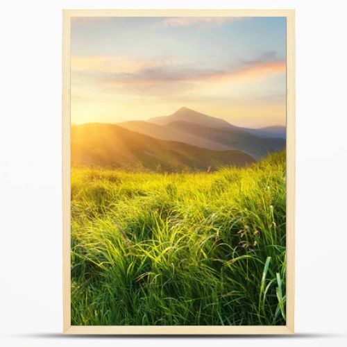 Mountain valley during sunset. Field with fresh grass and the mountain hills. Natural landscape at the summer time