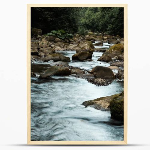 wet stones near flowing brook and green trees 