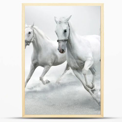 White horses