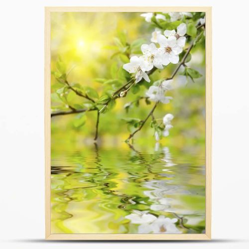 Spring flowers