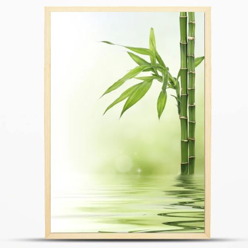 Lucky bamboo design border