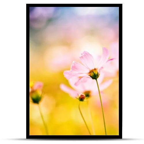 Pink flower