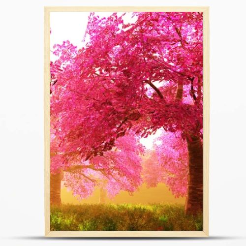 Cherry Blossoms Trees 01