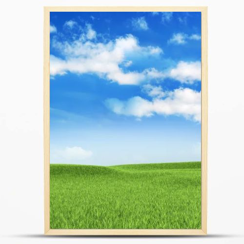 Nature background - meadow