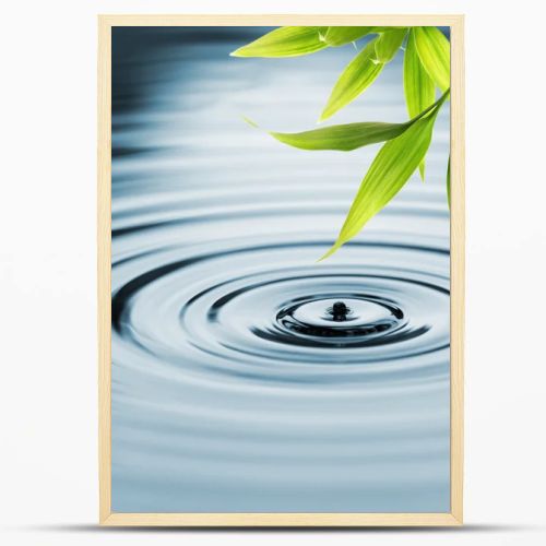 Fresh bamboo leaves over water