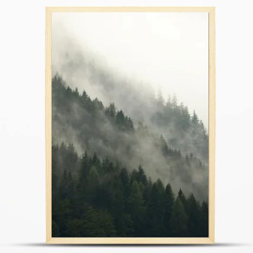 Forest Fog