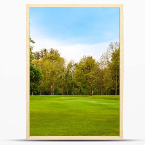 Beautiful summer landscape. green field and trees