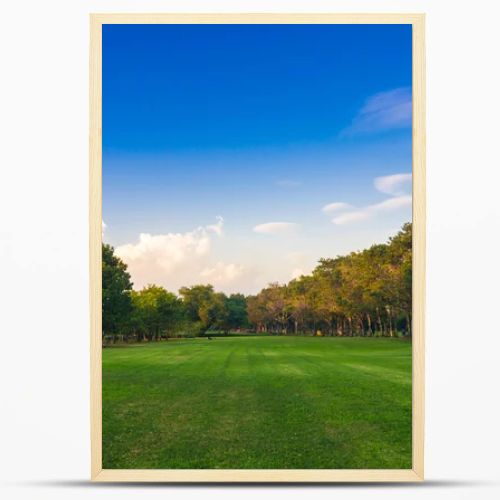 Green park with lawn and trees in a city