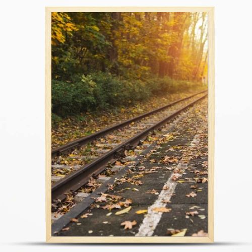 railway station in autumn forest