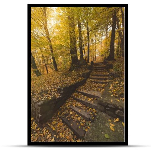 stairs at autumn park