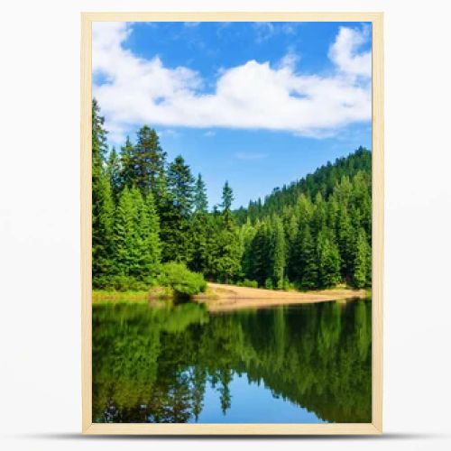 mountain lake in summertime