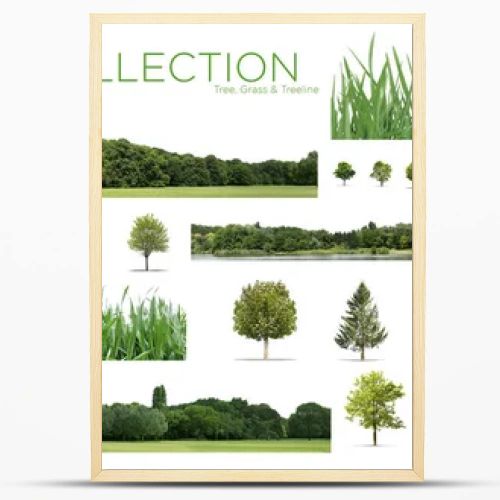 View of a Very high definition Treeline, grass and tree collection isolated on a white background